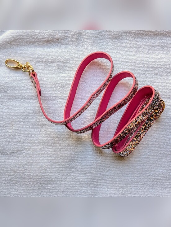 Betsey Johnson Other - Glitter Dog Leash